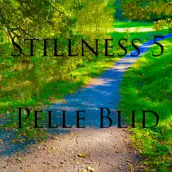 Stillnes 5 by Pelle Blid album reviews, ratings, credits