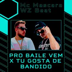 Pro Baile Vem X Tu Gosta de Bandido - Single by WZ Beat & Mc Mascara album reviews, ratings, credits