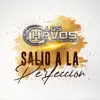 Salió a la Perfeccion - Single album lyrics, reviews, download