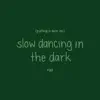 Putting a Spin On Slow Dancing In the Dark - Single album lyrics, reviews, download