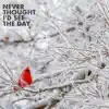 Never Thought I'd See the Day - Single album lyrics, reviews, download