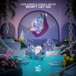 Won't Let Go - Single by Luxe Agoris & Samuel Miller album reviews, ratings, credits