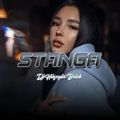 Stanga - Single by Dj Hüseyin Belek album reviews, ratings, credits