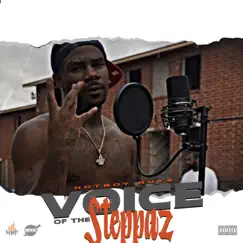 Voice of the Steppaz by Hotboynuke album reviews, ratings, credits