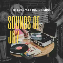 Sounds of Joy (feat. JUNIOR-SOUL) Song Lyrics