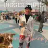 Bigger Truth - Single (feat. Sean Stewart) - Single album lyrics, reviews, download