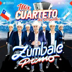 Mix Cuarteto Del Recuerdo: Por Lo Que Yo Te Quiero / Te Lo Juro Vieja / Te Perdiste Mi Amor - Single by Grupo Zúmbale Primo album reviews, ratings, credits