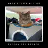 My Cats Just Like a Dog - EP album lyrics, reviews, download