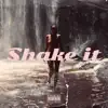 Shake It (feat. G.T.D) - Single album lyrics, reviews, download