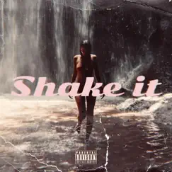 Shake It (feat. G.T.D) Song Lyrics