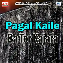 Dil Kadhi Ke Sari Me Le Gail Song Lyrics