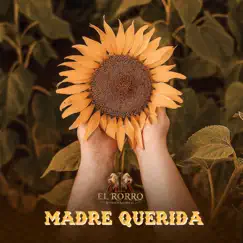 Madre Querida Song Lyrics