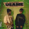 USAME (feat. Maxi) - Single album lyrics, reviews, download