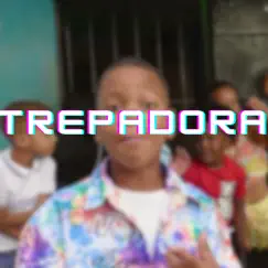 Trepadora Song Lyrics