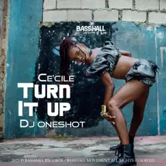 Turn It Up Song Lyrics