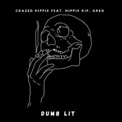Dumb Lit (feat. Hippie Rip & Areo) - Single by Crazed Hippie album reviews, ratings, credits
