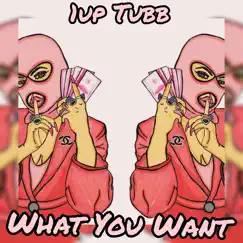 What You Want - Single by 1up Tubb album reviews, ratings, credits