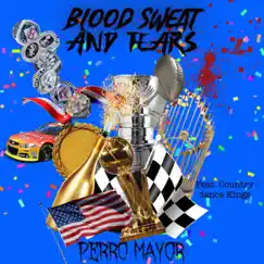 Blood, Sweat and Tears (feat. The Country Dance Kings) Song Lyrics