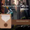 Kalimba Calma e Sons da Floresta album lyrics, reviews, download