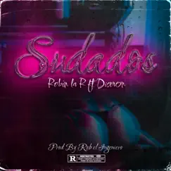 Sudados (feat. Diseron) - Single by Robin La R album reviews, ratings, credits