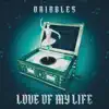 Love of My Life - Single album lyrics, reviews, download