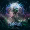 Beyond Perception and Matter - Single album lyrics, reviews, download