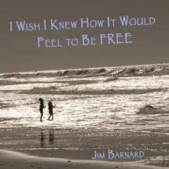 I Wish I Knew How It Would Feel to Be Free - Single by Jim Barnard album reviews, ratings, credits