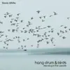 Hang Drum & Birds: Morning in the Woods (Nature Ringtones 2022) album lyrics, reviews, download