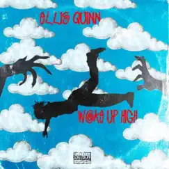 Woke Up High by Ellis Quinn album reviews, ratings, credits