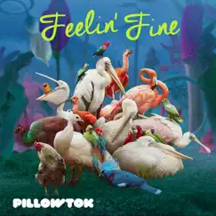 Feelin' Fine - EP by PillowTok album reviews, ratings, credits