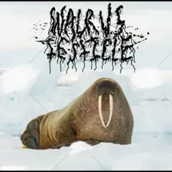 I Am the Walrus King - Single by Walrus Testicle album reviews, ratings, credits
