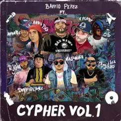 Cypher, Vol. 1 (feat. DryFreestyle, R-Jota, Mad Money, Arquitec, Vplayer, Fugitivo Lc2, OG & Annstsg) - Single by Barrio Perez album reviews, ratings, credits