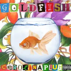 Goldfish Song Lyrics
