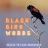 Blackbird Words - Single album lyrics, reviews, download