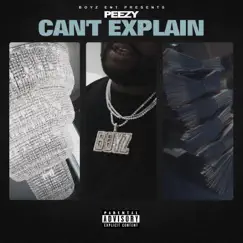 Can't Explain - Single by Peezy album reviews, ratings, credits