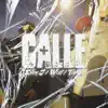 Calle (feat. TONIEL & W.O.L.F.) - Single album lyrics, reviews, download