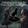 Relaxing Melodies for Your Canine Companion (Rain Sounds) album lyrics, reviews, download