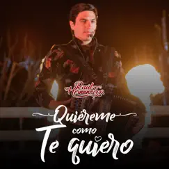 Quiéreme Como Te Quiero - Single by Raúl Hernández Jr. album reviews, ratings, credits