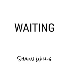 Waiting (feat. Kim Willis) Song Lyrics