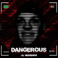 Dangerous - Single by 7AG Hedgehog album reviews, ratings, credits