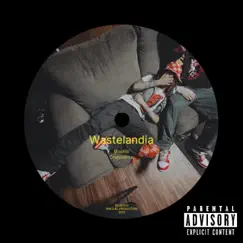 Wa$teland (feat. Cruniverse) - Single by Machiii album reviews, ratings, credits