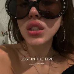 Lost in the Fire Song Lyrics