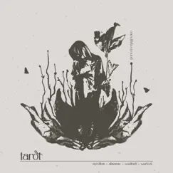 Tarot - EP by Cmplxtra album reviews, ratings, credits