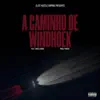 A Caminho De Windhoek (feat. Xtremecy & Savio Lamar) - Single album lyrics, reviews, download