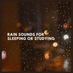 Rain Sounds for Sleeping or Studying (p77) Song Lyrics