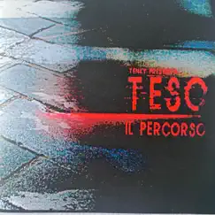 Il Percorso by Teso album reviews, ratings, credits