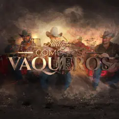 Como Los Vaqueros - Single by Grupo Alianza album reviews, ratings, credits