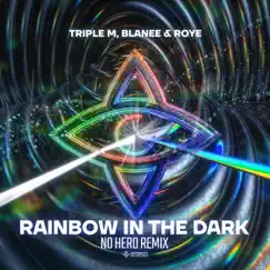 Rainbow In the Dark (feat. Roye) [No Hero Remix] Song Lyrics
