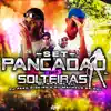 Set Pancadão das Solteiras (feat. MC ZL) - Single album lyrics, reviews, download