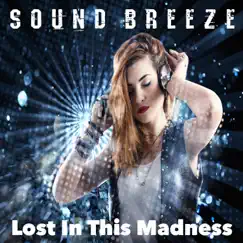 Lost in This Madness - Single by Sound Breeze album reviews, ratings, credits